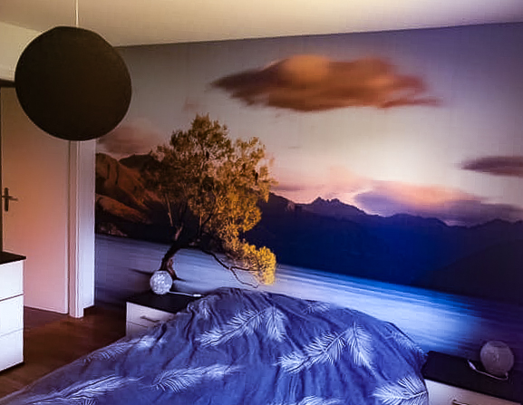 blaser peinture papier peint